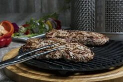 Cobb Grillplaat+ 7 Cobb Grillplaat+ -Weber Winkel 45800 cobb grillplaat